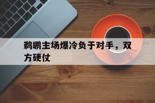 鹈鹕主场爆冷负于对手，双方硬仗的简单介绍