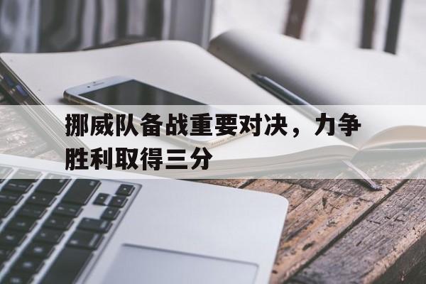 挪威队备战重要对决，力争胜利取得三分的简单介绍